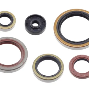 מחזירי שמן BETA RR 250/300 2T 13-25