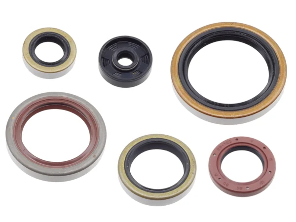 מחזירי שמן BETA RR 250/300 2T 13-25